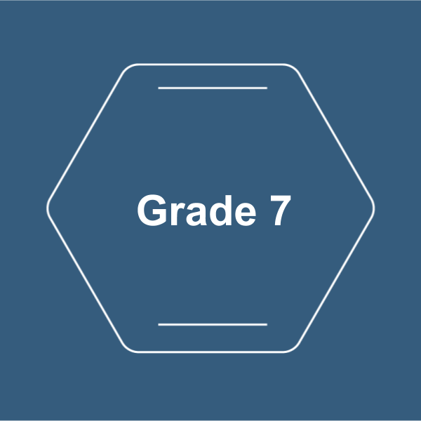Grade 7 