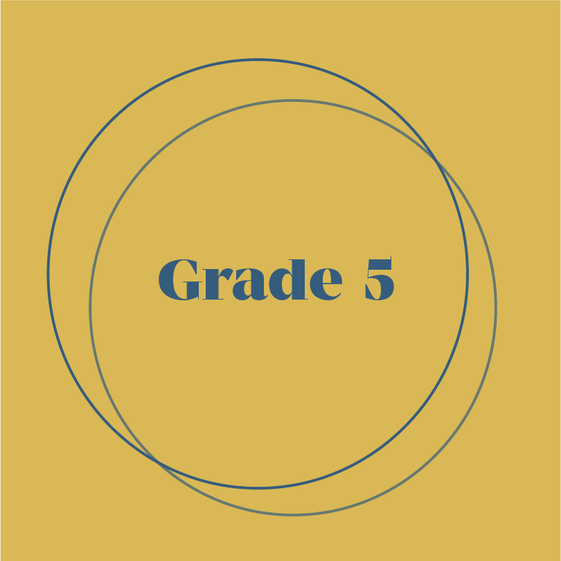 Grade 5 